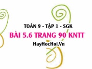 Bài 5.6 trang 90 Toán 9 tập 1 Kết nối tri thức